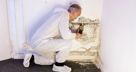 mold inspection