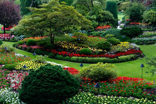 evenings spent in the garden