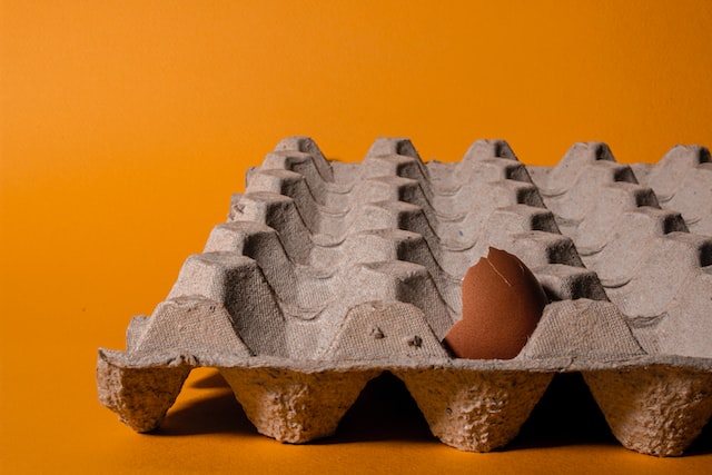 Egg cartons bulk