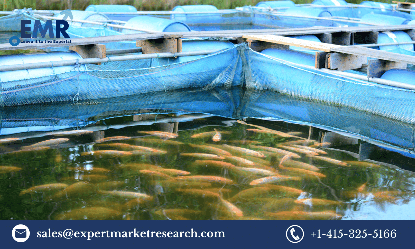 Fish Farming Market