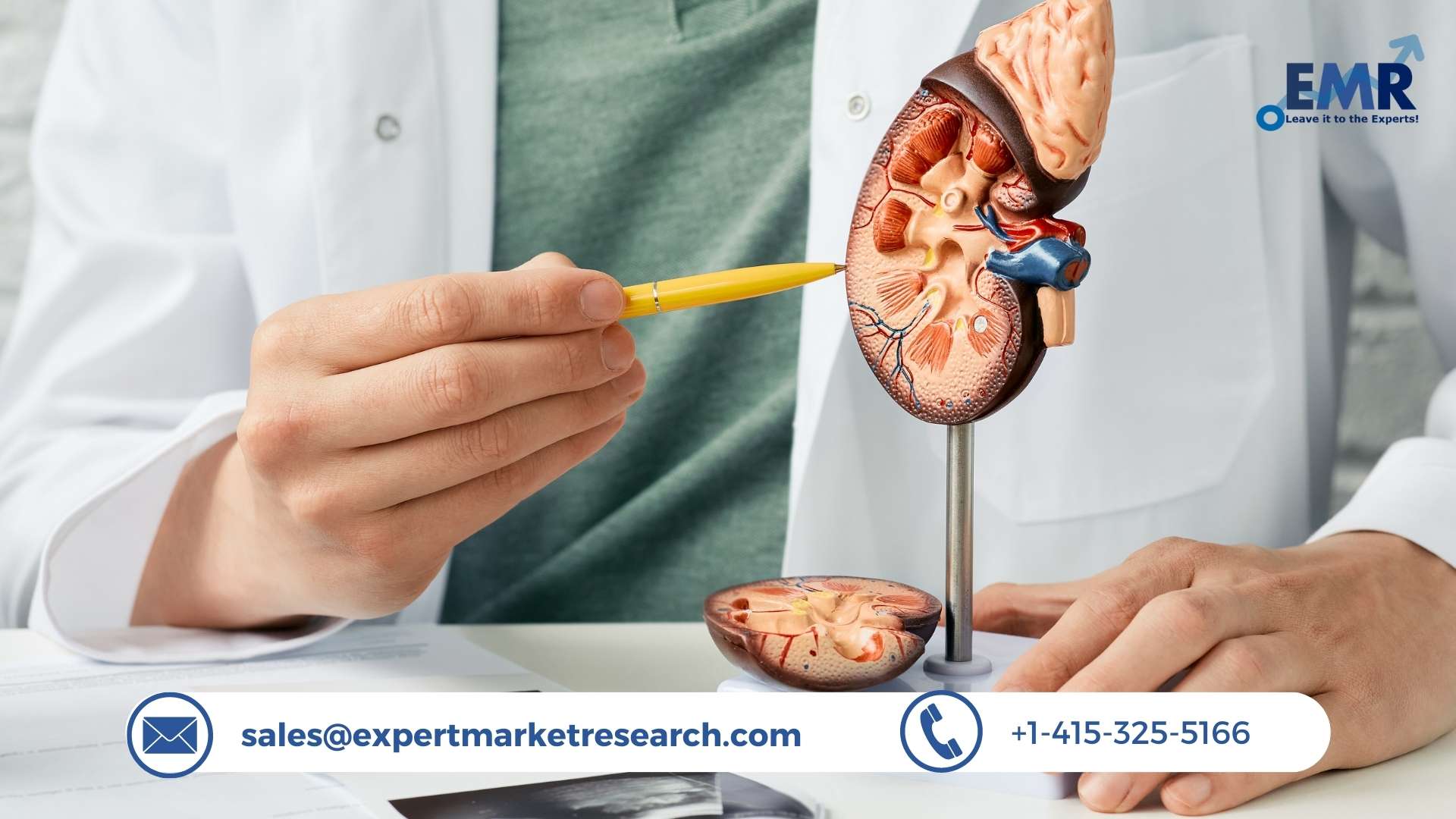 Kidney Stone Management Market