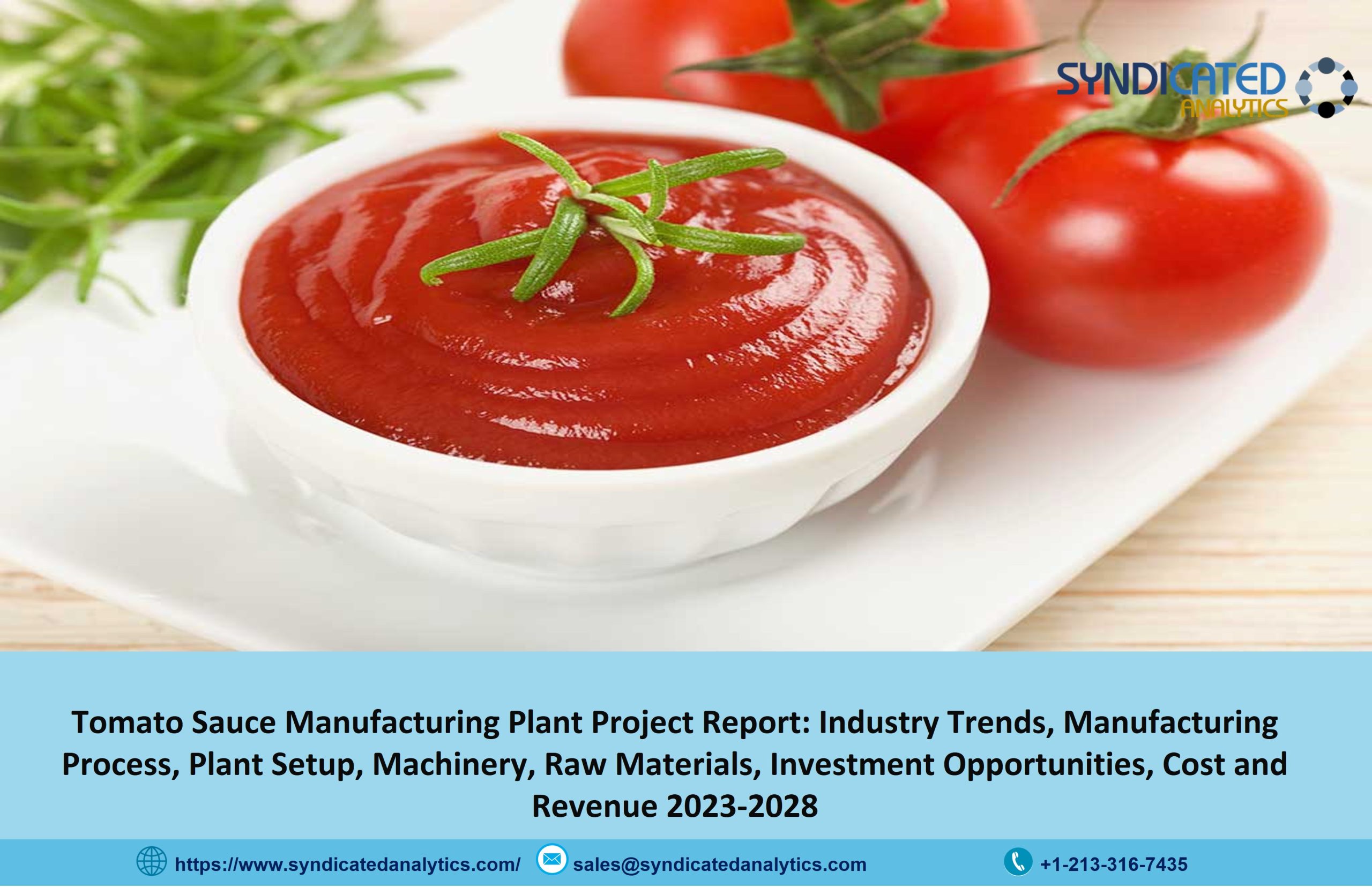 Tomato Sauce Manufacturing Plant